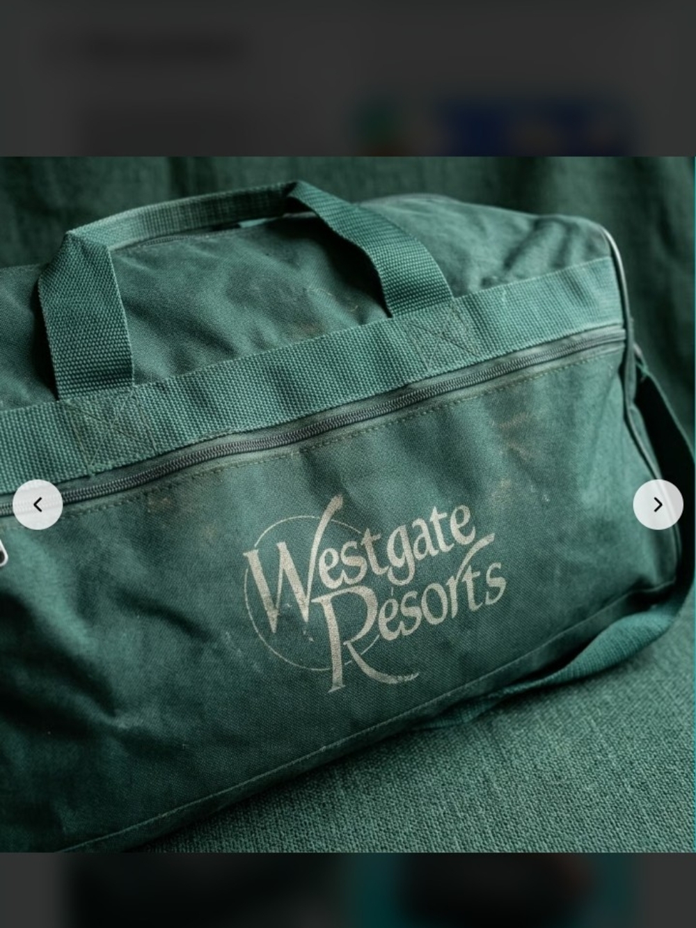 Forest Green Travel Duffle Bag